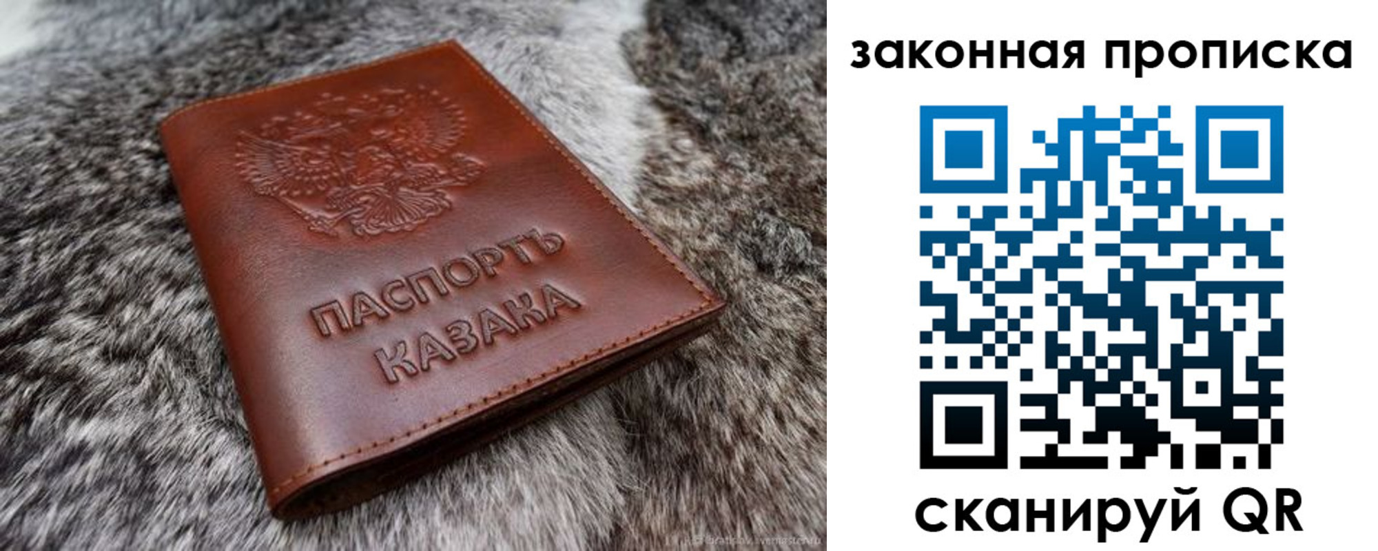прописка в Чистополье